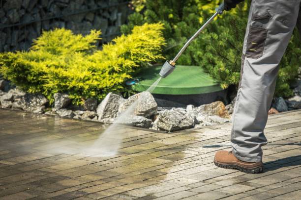 Best Gutter Cleaning  in Clarks Green, PA